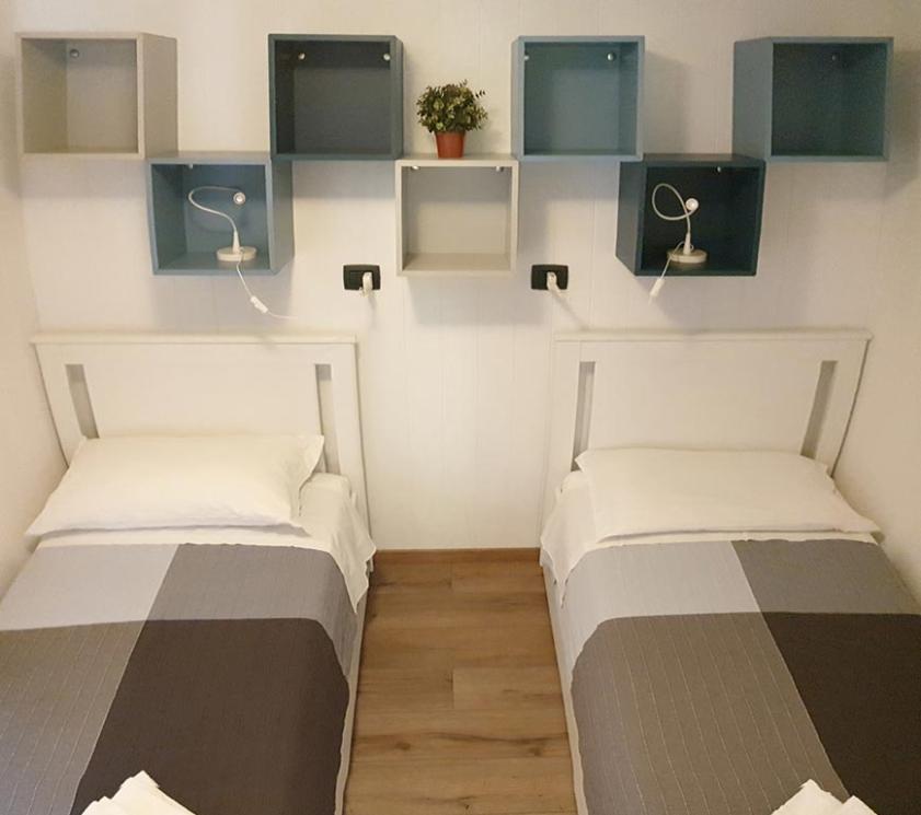 Chambre avec deux lits simples, étagères et plante décorative.