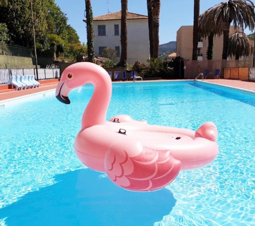 Pool with a large pink flamingo float.