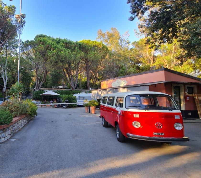 Roter Volkswagen-Bus vor einem Gebäude in einem bewaldeten Gebiet geparkt.